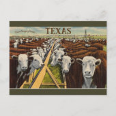 ヴィンテージイラストレーションの牛ミッドランドテキサス州 ポストカード (正面)