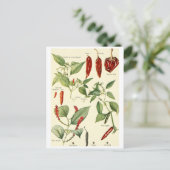 ヴィンテージイラストレーションはがきレシピカード ポストカード (スタンド正面)