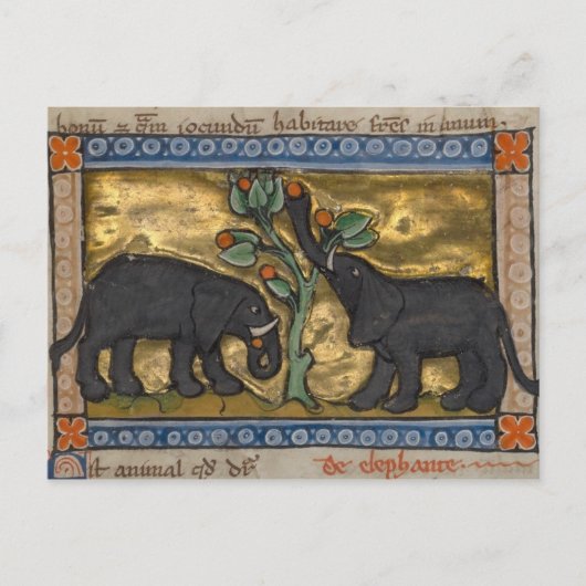 ヴィンテージイラストレーションはがき ポストカード (正面)