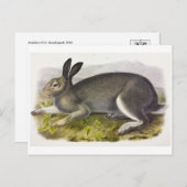 ヴィンテージイラストレーションはがき ポストカード (正面/裏面)