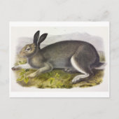 ヴィンテージイラストレーションはがき ポストカード (正面)