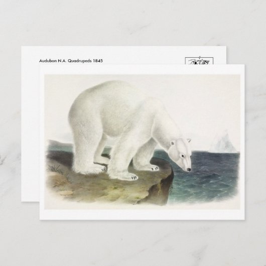 ヴィンテージイラストレーションはがき ポストカード (正面/裏面)