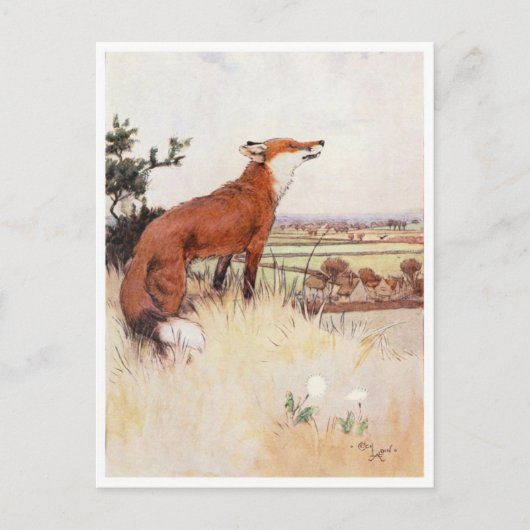 ヴィンテージイラストレーションはがき ポストカード (正面)