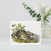 ヴィンテージイラストレーションはがき ポストカード (スタンド正面)