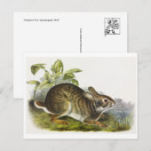 ヴィンテージイラストレーションはがき ポストカード (正面/裏面)