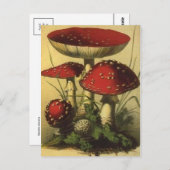 ヴィンテージイラストレーションはがき ポストカード (正面/裏面)