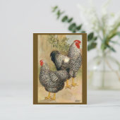 ヴィンテージイラストレーションはがき ポストカード (スタンド正面)