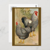 ヴィンテージイラストレーションはがき ポストカード (正面/裏面)