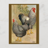 ヴィンテージイラストレーションはがき ポストカード (正面)