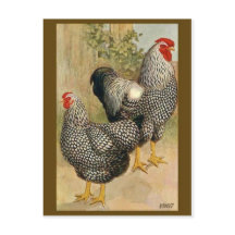 ヴィンテージイラストレーションはがき