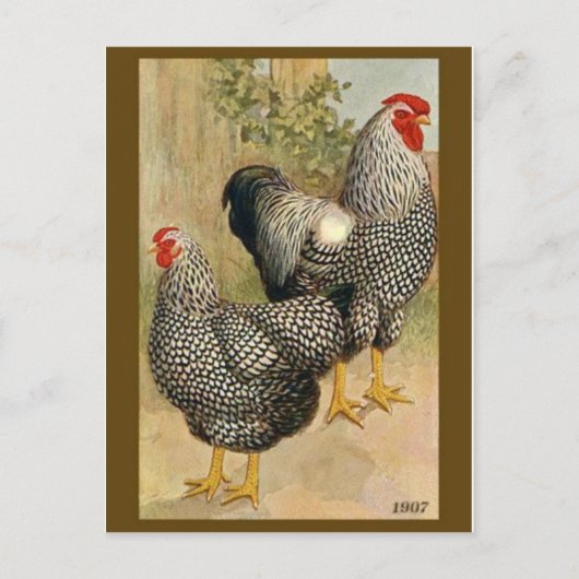 ヴィンテージイラストレーションはがき ポストカード (正面)