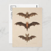 ヴィンテージイラストレーションはがき ポストカード (正面/裏面)