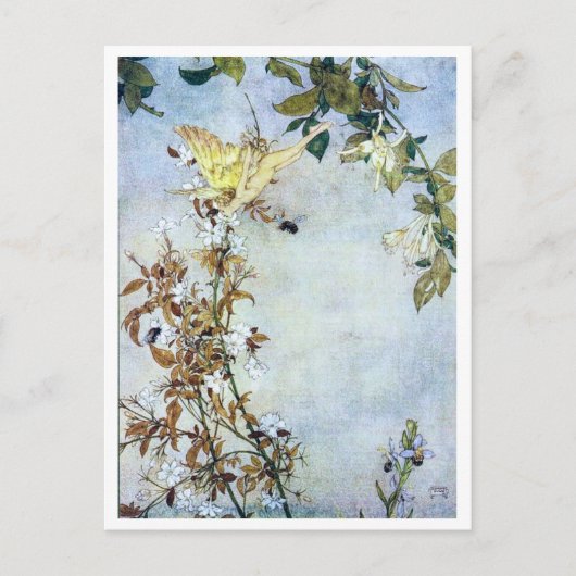 ヴィンテージイラストレーションエドムンドダラックテンペスト ポストカード (正面)