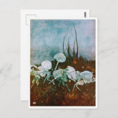 ヴィンテージイラストレーションエドムンドダラックテンペスト ポストカード (正面/裏面)