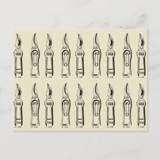 ヴィンテージイラストレーションガーデニングツールプルーナー2 ポストカード (正面)