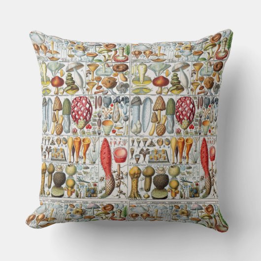 ヴィンテージイラストレーションキノコ装飾用クッション クッション (正面)