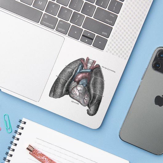 ヴィンテージイラストレーショングレーの解剖学的ハート肺 シール (ノートパソコンとiPhone)