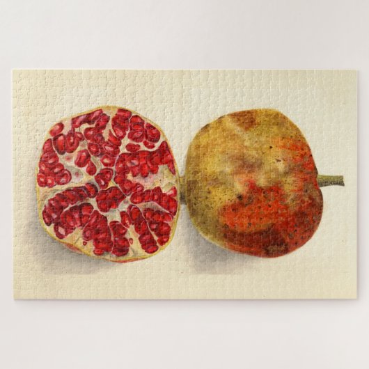 ヴィンテージイラストレーションザクロ ジグソーパズル (横)