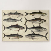 ヴィンテージイラストレーションツナ、サバ&ボニタス ジグソーパズル (横)