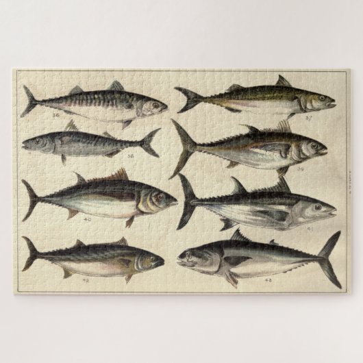 ヴィンテージイラストレーションツナ、サバ&ボニタス ジグソーパズル (横)