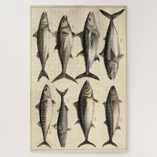 ヴィンテージイラストレーションツナ、サバ&ボニタス ジグソーパズル (縦)