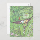 ヴィンテージイラストレーショントゥンベリーナバイエルザベスコウ ポストカード (正面/裏面)