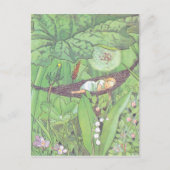 ヴィンテージイラストレーショントゥンベリーナバイエルザベスコウ ポストカード (正面)