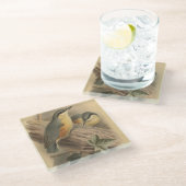 ヴィンテージイラストレーションヌサッチ ガラスコースター (アングル)