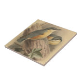 ヴィンテージイラストレーションヌサッチ タイル (側面)