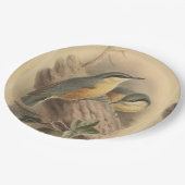 ヴィンテージイラストレーションヌサッチ ペーパープレート (アングル)