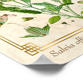 ヴィンテージイラストレーションハーブプラントセージ植物芸術 ポスター (角)