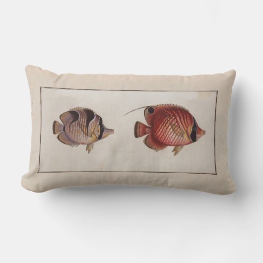 ヴィンテージイラストレーションバタフライ ランバークッション (正面)