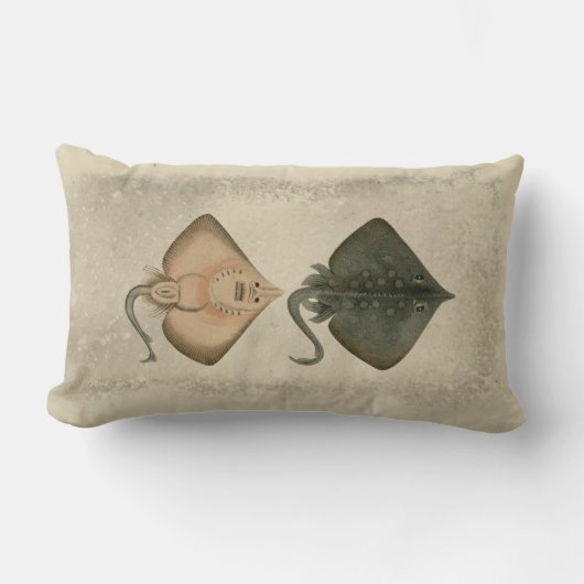 ヴィンテージイラストレーションバートンスケート ランバークッション (正面)