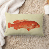 ヴィンテージイラストレーションフィッシュザコニー ランバークッション (ブランケット)