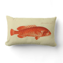 ヴィンテージイラストレーションフィッシュザコニー