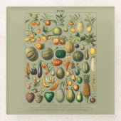 ヴィンテージイラストレーションフルーツ ガラスコースター (正面)