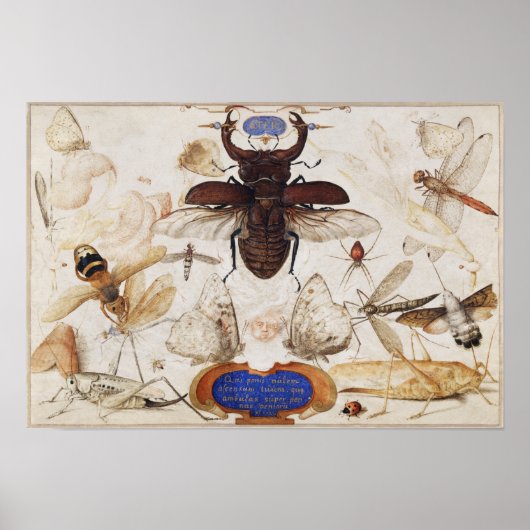 ヴィンテージイラストレーションポスター ポスター (正面)