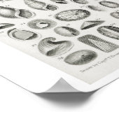 ヴィンテージイラストレーションポスター ポスター (角)