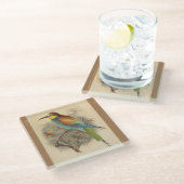 ヴィンテージイラストレーションヨーロッパビーイーター ガラスコースター (アングル)