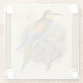 ヴィンテージイラストレーションヨーロッパビーイーター ガラスコースター (裏面)