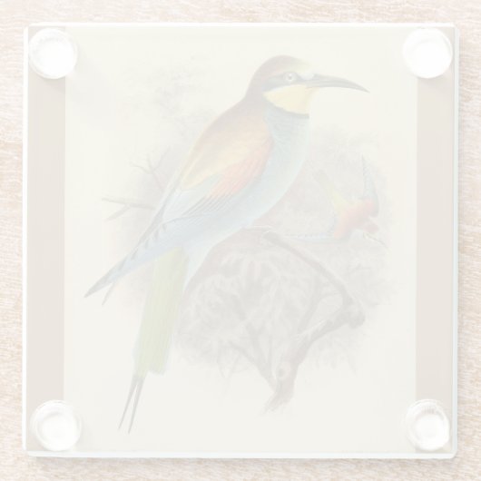 ヴィンテージイラストレーションヨーロッパビーイーター ガラスコースター (裏面)