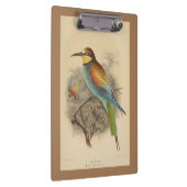 ヴィンテージイラストレーションヨーロッパビーイーター クリップボード (右)