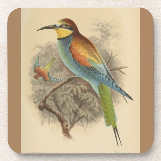 ヴィンテージイラストレーションヨーロッパビーイーター コースター (正面)