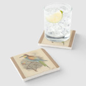 ヴィンテージイラストレーションヨーロッパビーイーター ストーンコースター (横)