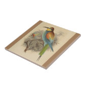 ヴィンテージイラストレーションヨーロッパビーイーター タイル (側面)