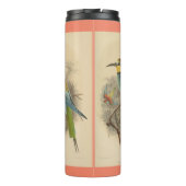 ヴィンテージイラストレーションヨーロッパビーイーター タンブラー (裏面)