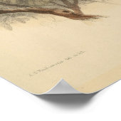 ヴィンテージイラストレーションヨーロッパビーイーター ポスター (角)