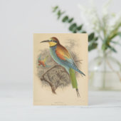 ヴィンテージイラストレーションヨーロッパビーイーター ポストカード (スタンド正面)