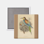 ヴィンテージイラストレーションヨーロッパビーイーター マグネット (正面/裏面)