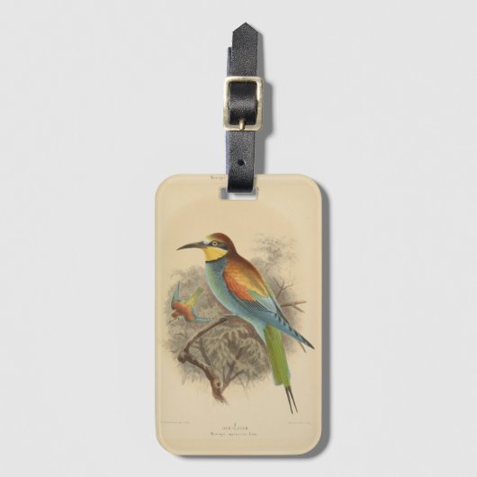 ヴィンテージイラストレーションヨーロッパビーイーター ラゲッジタグ (正面縦)